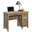 Sauder Cannery Bridge Engineered Wood and Metal Computer Desk in Lintel ...