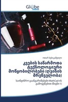 Georgisch | Taschenbuch | De | GroßFormatiges Paperback. Klappenbroschur