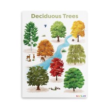 Kaplan Early Learning Deciduous Tree Giclee 18" x 24" Wall Print