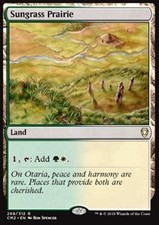 Magic/MTG Sungrass Prairie CM2-269 Rare Englisch NM