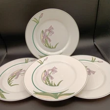 Arcopal France Tulips 10.5" Dinner Plates