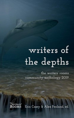 Amelia Kibbie R C Davis R.C. Davis Erin Case Writers of the Depth (Taschenbuch)