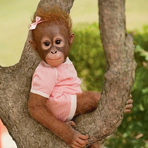 ashton drake baby monkey