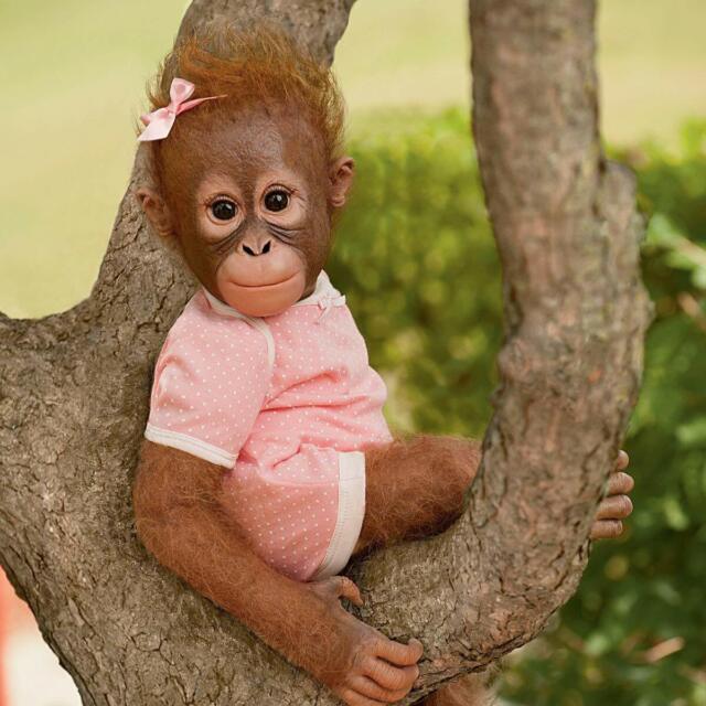 Annabelle S Hugs Ashton Drake Baby Monkey Doll By Ina Volprich 22 Inches For Sale Online Ebay