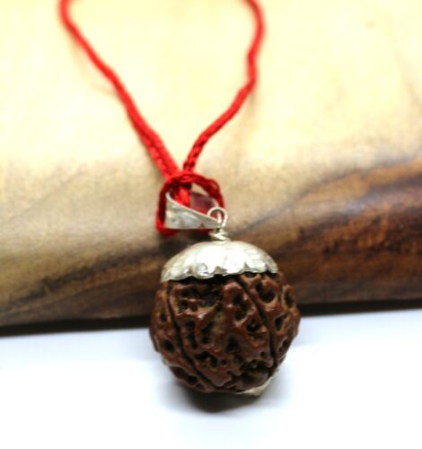 RUDRAKSHA RUDRAKSH 5 MUKHI SAMMLER QUALITÄT PERLENANHÄNGER HINDU YOGA GEBET SELTEN - Bild 7 von 8
