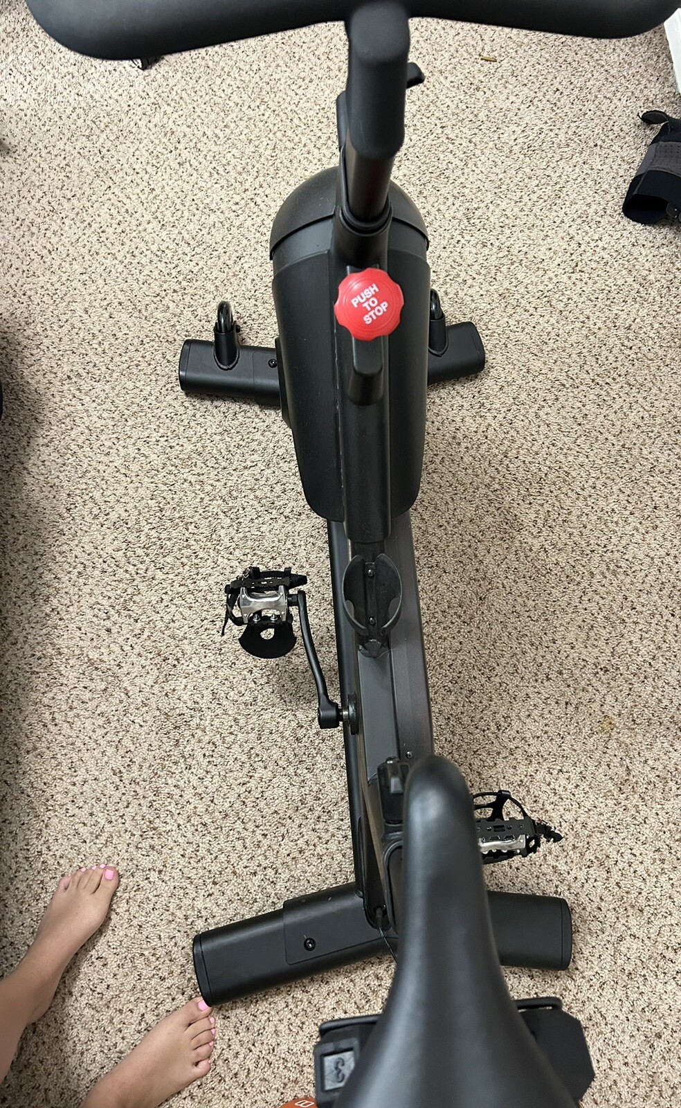 Picture 6 of 8