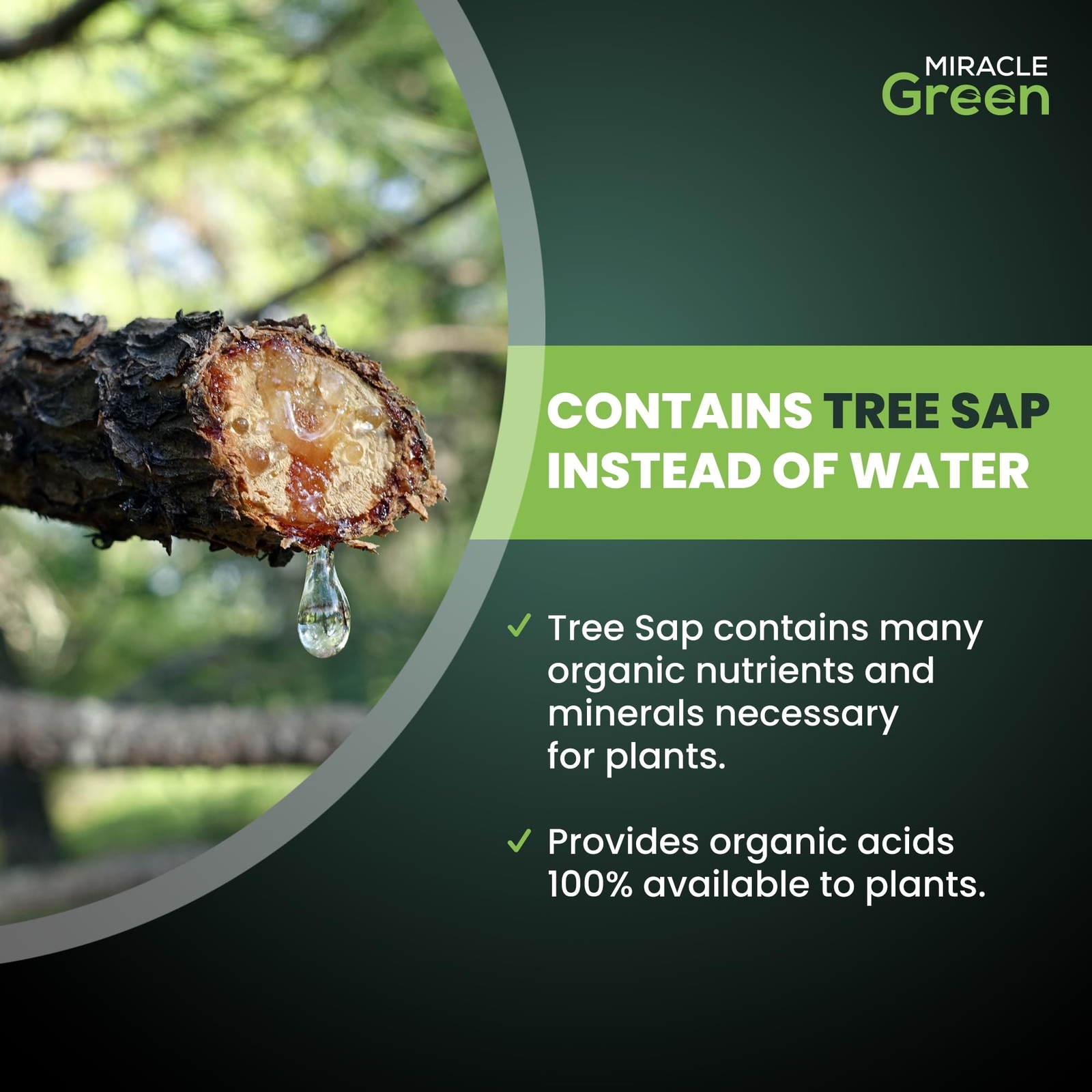 Miracle Green Fast-Acting Liquid Fertilizer- Special Formula with Tree Sap & ...