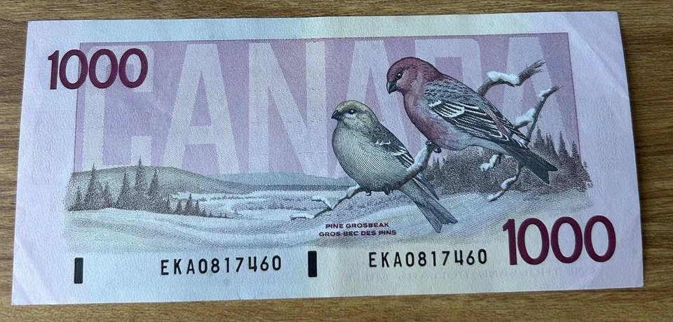 Billete canadiense de 1000 dólares 1988 Banco de Canadá, sin circular. Foto 2 de 2