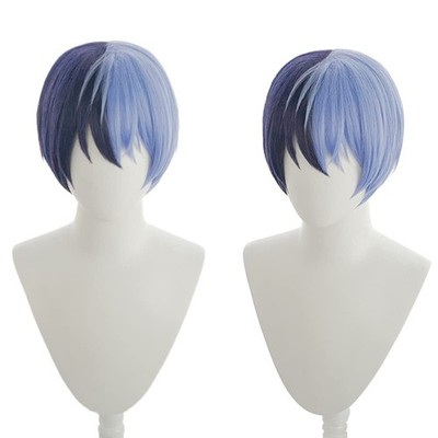Heat-Resistant Cosplay Wig, The Second Castle, In Navy Blue & Wisteria Blue, Co_