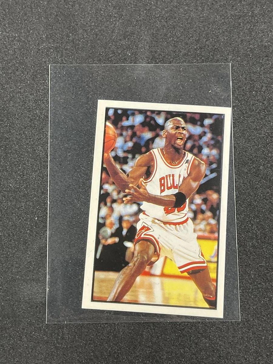 Panini Michael Jordan Basketball 1992-93 Season Sports Trading