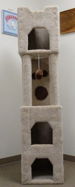 tall cat house