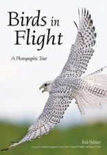 Birds in Flight: A Photographic Essay of Hawks, Ducks, Eagles, Owls, Hummingbird