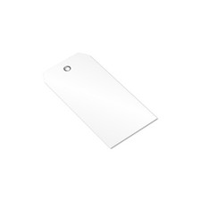 100-Pack White Plastic Tags with Pre-Punched Hole 4.75" x 2.375" Size 5 10 mi...