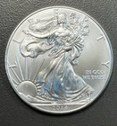 2014 American Eagle Silver Dollar / 1 oz .999 Silver / Uncirculated