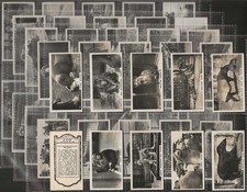 B.A.T.-FULL SET- ZOO 1935 (F50 CARDS) EXCELLENT