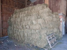 Heu HD Ballen  Heuballen Wiesenheu Ungedüngt Ernte 2025 Preis pro Ballen Sisal