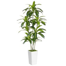 Artificial Dracaena Tree Tall - Green Silk Realistic Fake Plants for 6ft Write