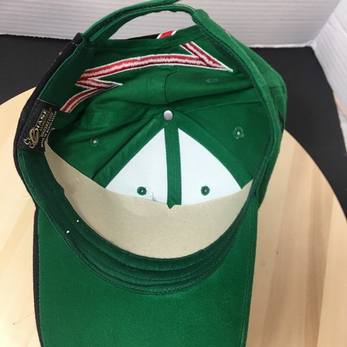 Bobby Labonte 18 Nascar Cap Hat Interstate Batteries Racing Chase Drivers Line - Picture 6 of 10