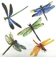 S240# 3 x Single SMALL Paper Napkins For Decoupage Dragonfly Pattern On White