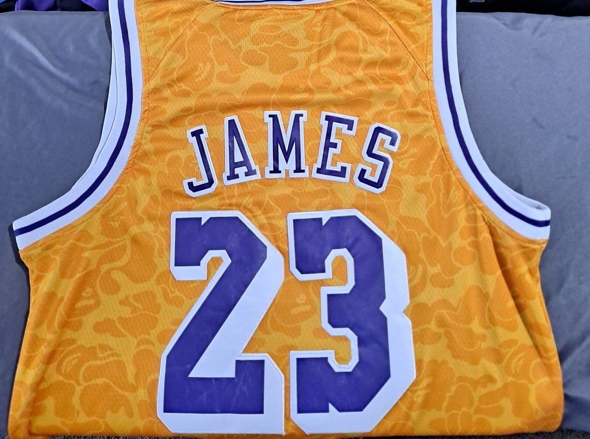 lebron james bape
