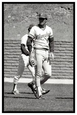 Jim Adduci (1985) Milwaukee Brewers Vintage Baseball Postcard PCMB