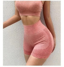 Short Gym Women‘s Gym Shorts High Elasticity Yoga Clothing Absorbent Short