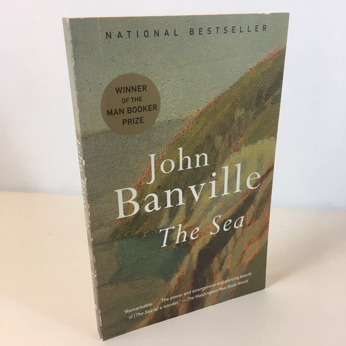 John Banville: a life in writing, Books