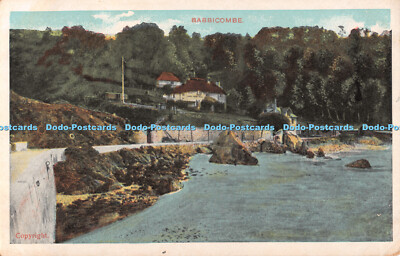 R496233 Babbicombe D and D