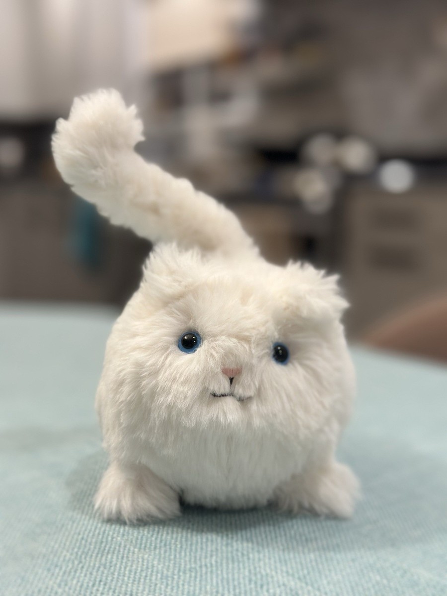 Retired] NWT Jellycat Cream Kitten Caboodle w/ storage bag | eBay