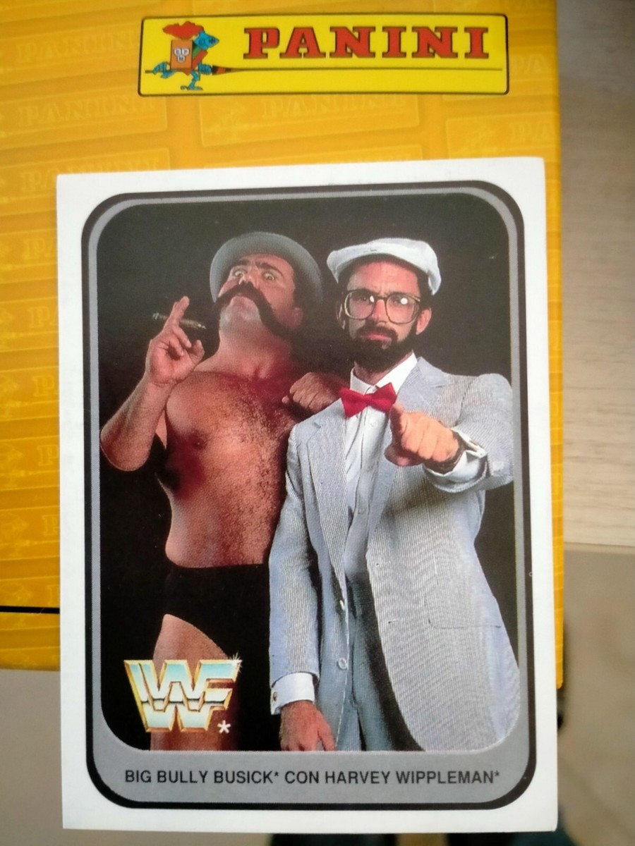 CARD MERLIN 1991 WRESTLING NUMBER 4 BIG BULLY BUSICK AND HARVEY