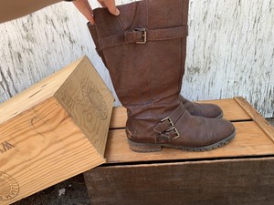 enzo angiolini boots brown