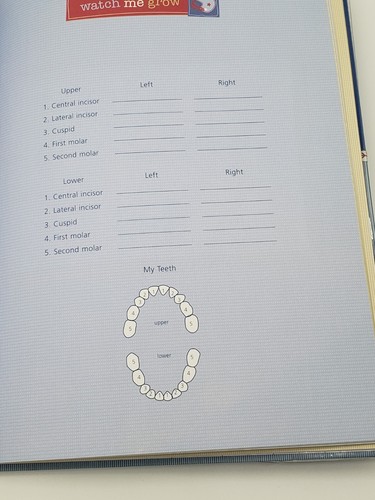 Carter's Baby Boy Memory Book Blue Record New Gift "B is for Boy" 80 pages - 第 13/16 張圖片