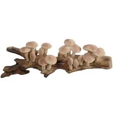 Barydat Resin Mushroom Decor Cottagecore Decor Mushroom Wall Decor Vintage Wa...