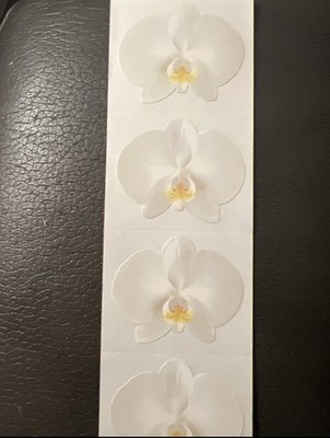 Mrs. Grossman s Stickers Flowers White Orchid