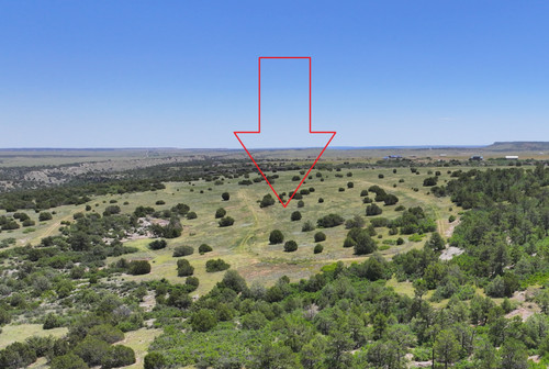 # 482 Tungsten 0.20 Acres Colorado Land. $150 Down $76.51/MO Terms.