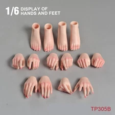 1Set 1:6 Scale Pale Hands Foot Accessories for 12" Female Figure Body Model Kit