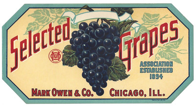 Original SELECTED GRAPE crate label Mark Owen & Co. Chicago, Illinois purple grp