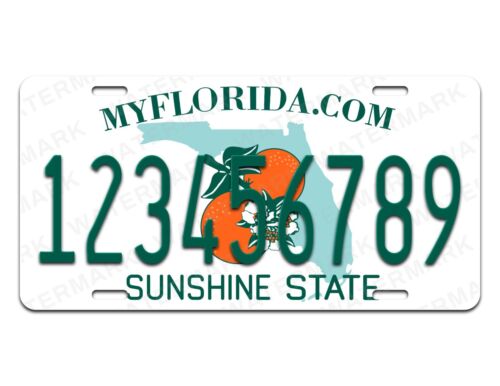 Florida Personalized Custom Aluminum License Plate Tag Any Text Your Name - Bild 2 von 2