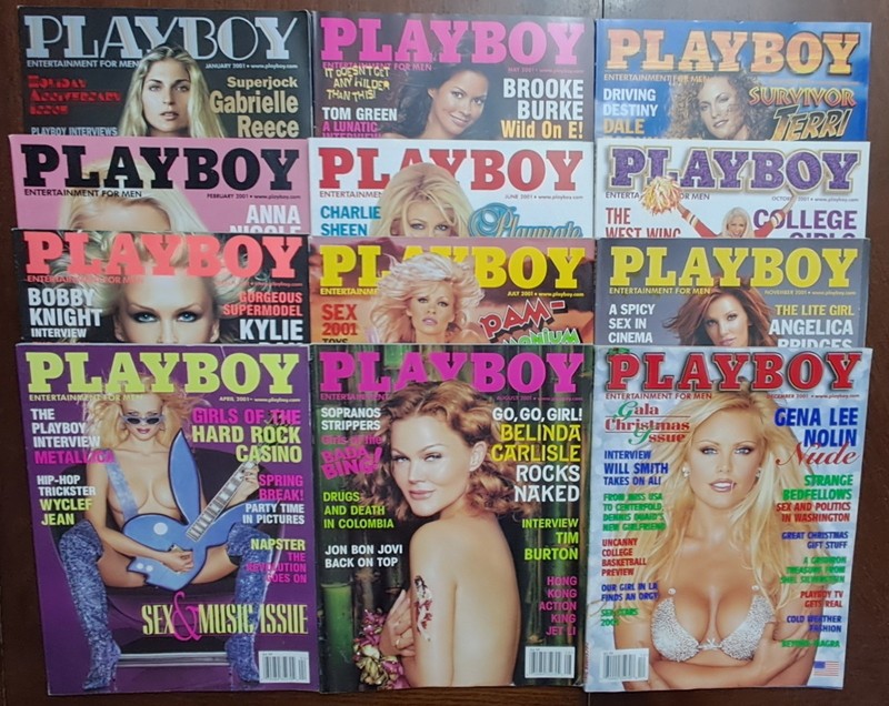 Playboy Magazine Lot 2001 *12* Magazines