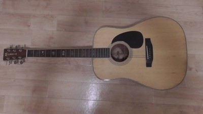 Morris W-40 Akustikgitarre altes Modell