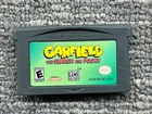 Game Boy Advance Garfield: The Search for Pooky Nintendo GBA Authentic Tested