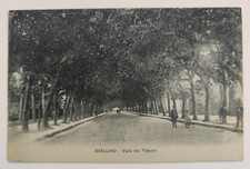cartolina avellino animata viale platani inizi '900 formato piccolo