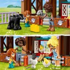 Foto 9 di 11
