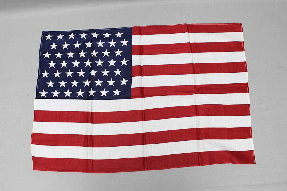 アンティーク ヴィンテージ アメリカ フラッグ 40’s 50’s American Vintage 49 Star Flag . FLU6147 | eBay