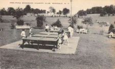Wingdale New York Berkshire Country Club Ping Pong Tables Postcard AA40967