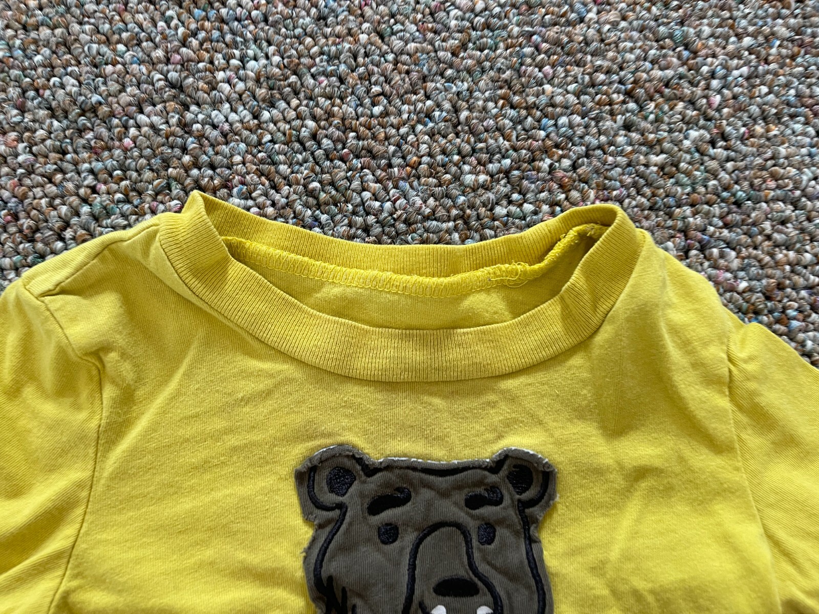Picture 5 of 5