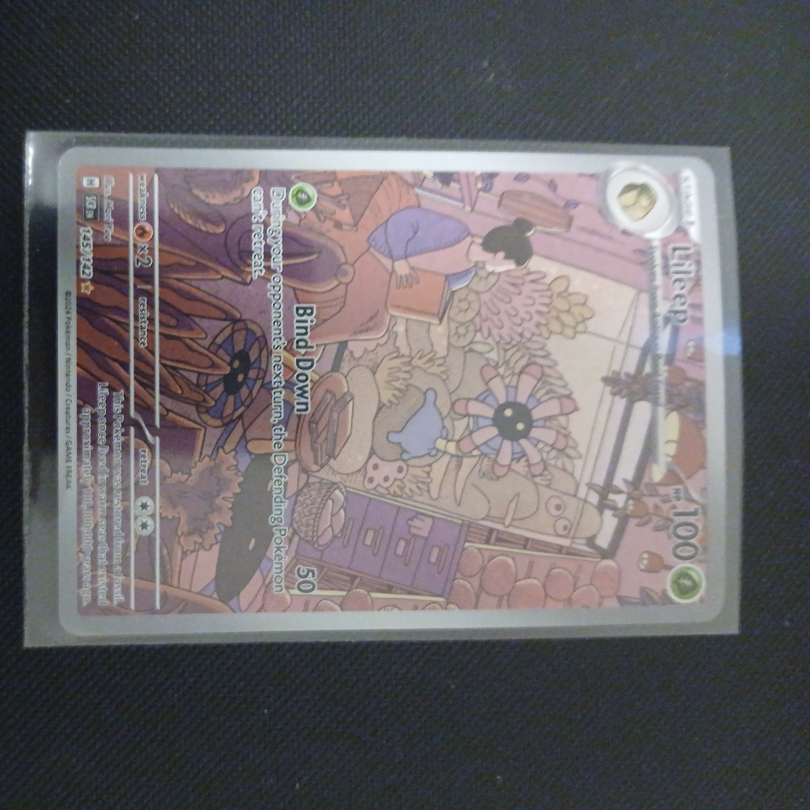 Lileep Holofoil 145/142 Stellar Crown Illustration Rare Pokemon Card NEAR MINT N