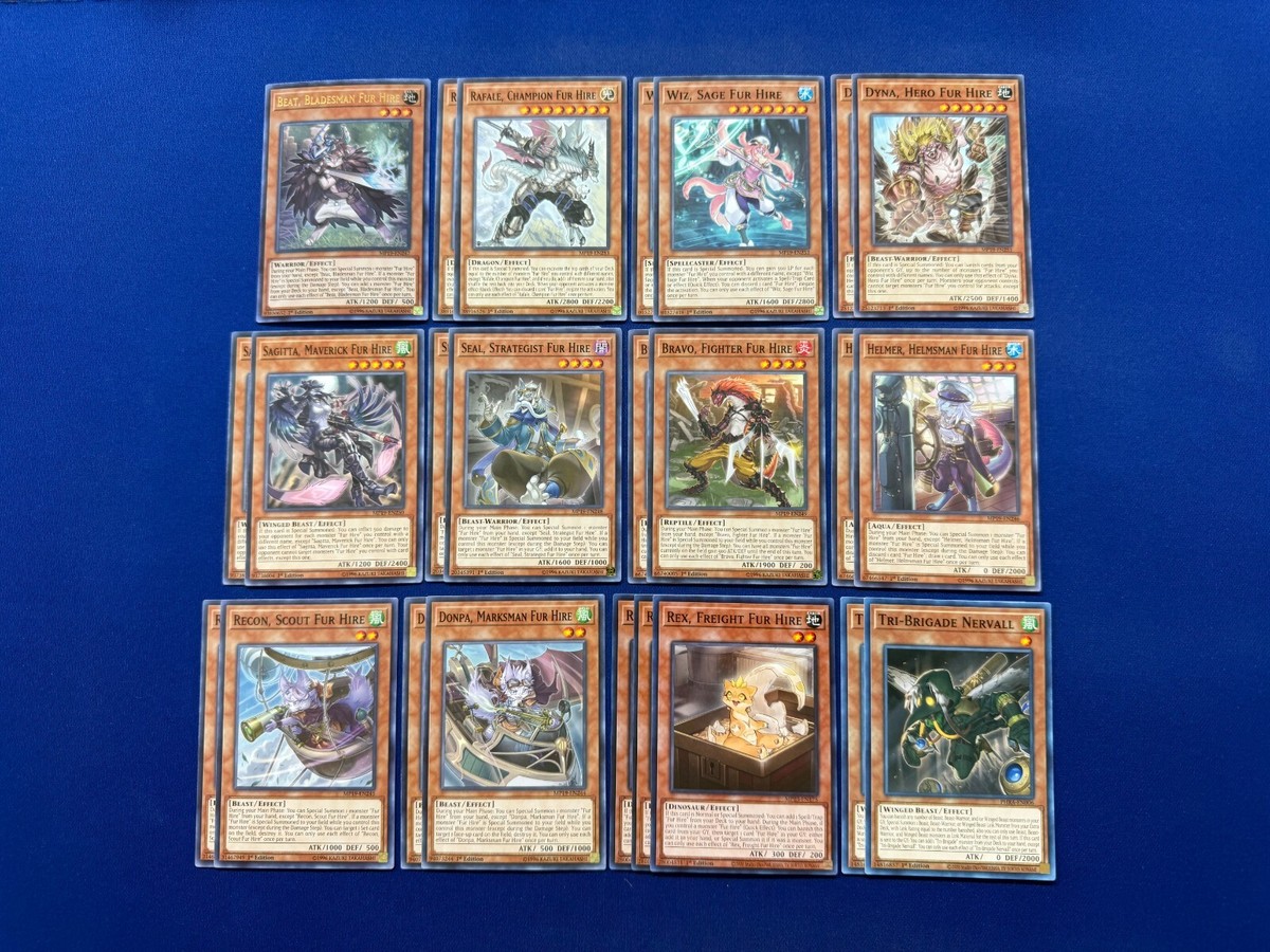 Yu-Gi-Oh! - Complete Fur Hire Link Deck | eBay