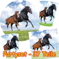 Pferde Pony Party Set - 37 Teile Kindergeburtstag Kinder Pferd Geburtstag Deko