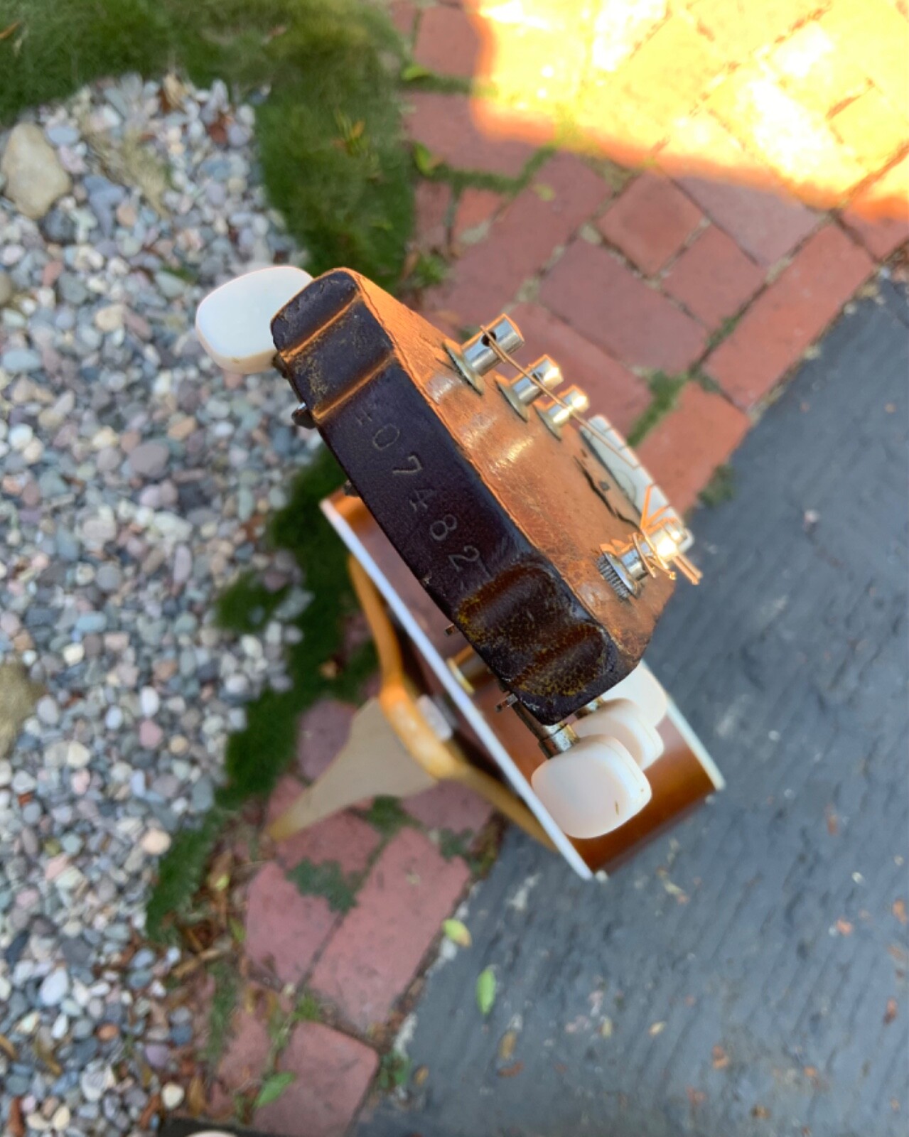 Levin LS18, LT18 1960 dreadnought guitar, incredible Maple back